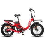 Fafrees F20 X-Max 750W 20" Fat Bike électrique Pliable
