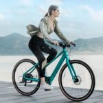 Fiido C22 Gravel Vélo électrique – Image 6