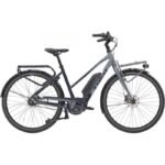 Trek District+ 2 Stagger Shimano Nexus 7V 500wh 2023